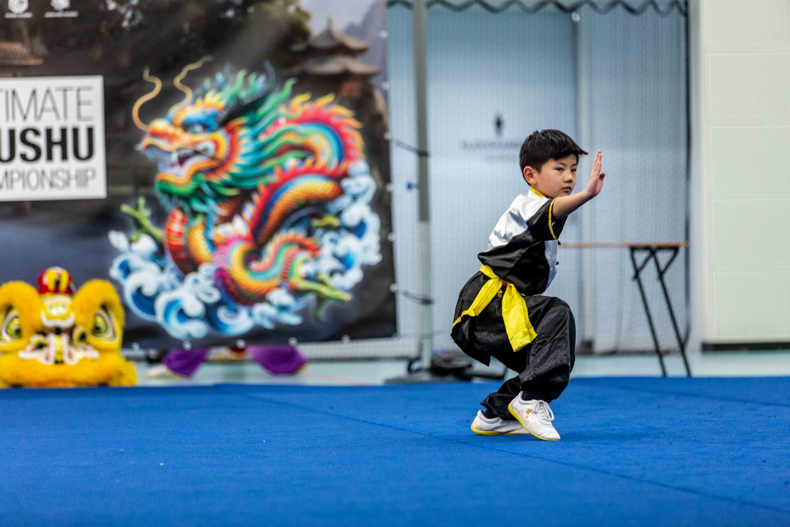 WBN Jeugdtoernooi
(Moderne Wushu)